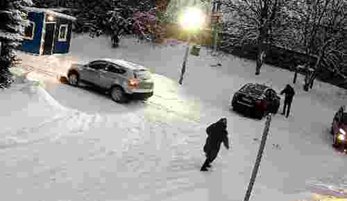 Львівська поліція розшукала водія, який збив собаку і втік
