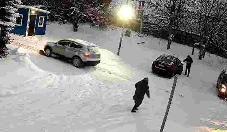 Львівська поліція розшукала водія, який збив собаку і втік
