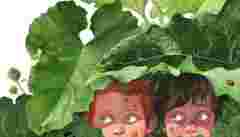 Продюсерська команда фільму «Ти – космос» працює над  «Тореадорами з Васюківки»