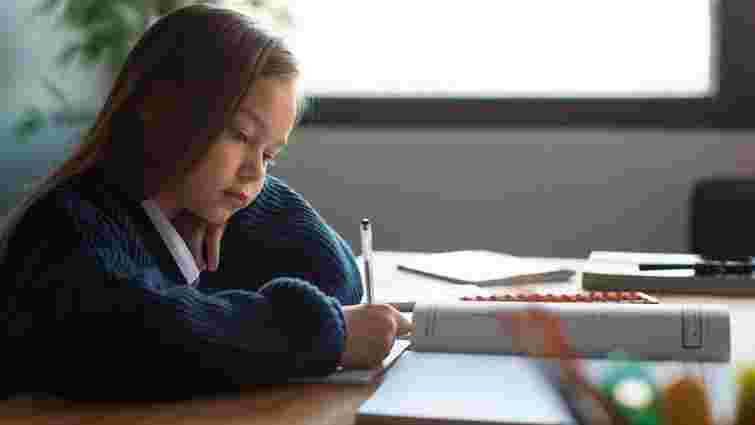 Нардепи пропонують заборонити російську мову у приватних школах