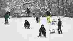 Поліція встановила чоловіка, який побив 11-річного хлопця на гірці у Львові