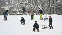 Поліція встановила чоловіка, який побив 11-річного хлопця на гірці у Львові