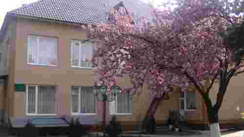 На Закарпатті оштрафували помічницю вихователя, яка вдарила хлопчика в дитбудинку