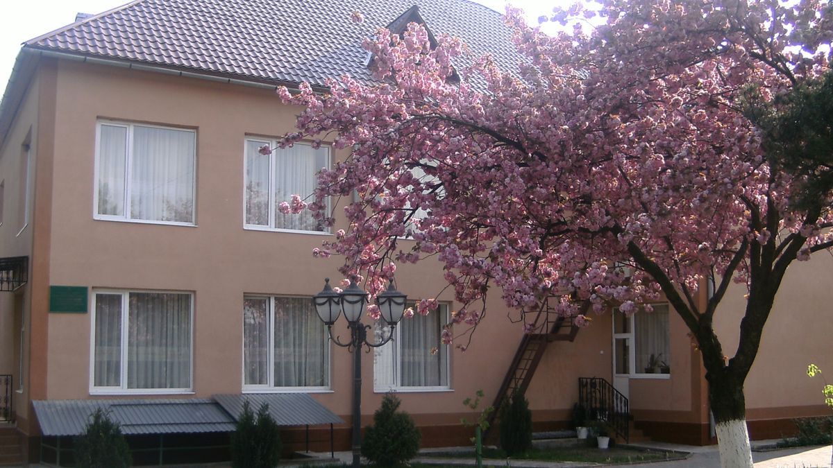 На Закарпатті оштрафували помічницю вихователя, яка вдарила хлопчика в дитбудинку