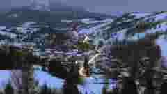 АРМА перевірить переможців торгів з продажу 460 га землі у Карпатах