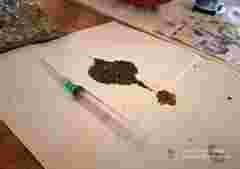 Після смерті чоловіка лучанка очолила наркобізнес на Волині