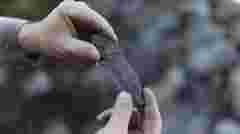 Чеські інвестори оголосили про намір видобувати графітову руду на Хмельниччині