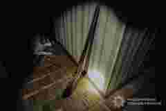 У Луцьку поліцейський закрив собою жінку та дитину, в яких стріляв родич із рушниці