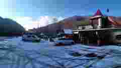 Власник придорожнього кафе на Закарпатті спустив на туристів собак