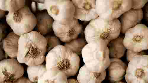 Ніколи не кладіть часник у холодильник: як правильно його зберігати