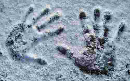 На Тернопільщині в снігу знайшли тіло замерзлого на смерть чоловіка