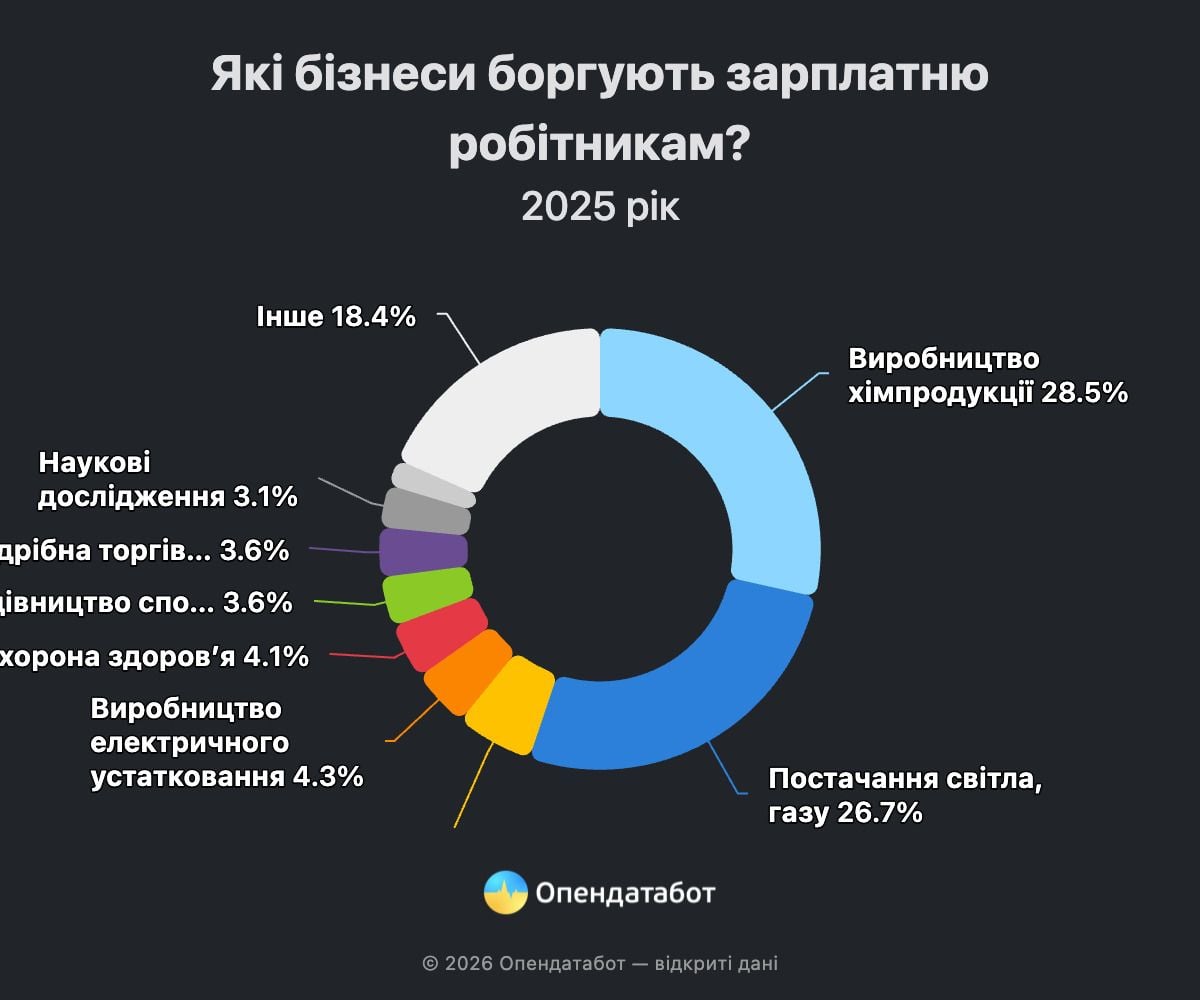 Приватні компанії формують понад 60% боргів із заробітної плати в Україні / Інфографіка «Опендатабот» 
