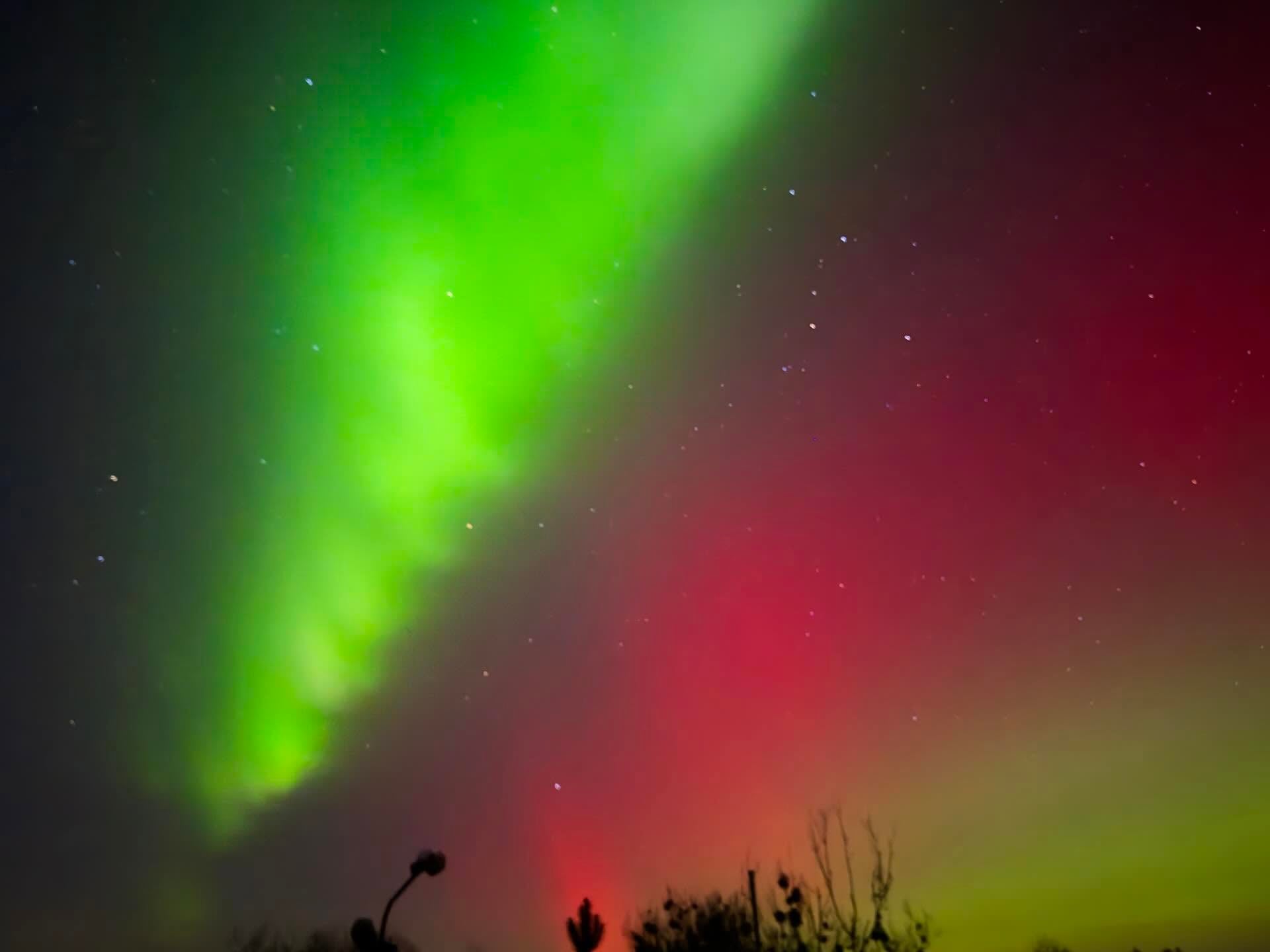 фото wrsofiya/Threads. Знято у Брюховичах біля Львова