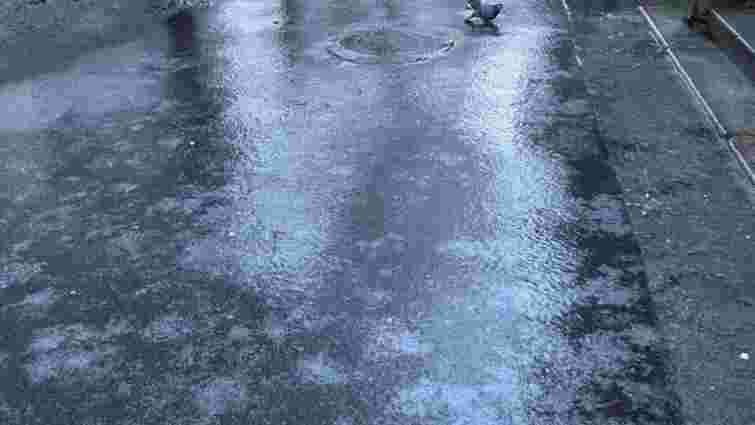 Депутат Київради зламав хребет через ожеледицю в місті