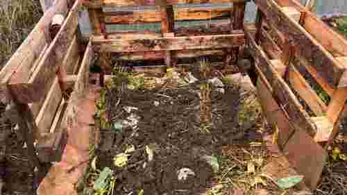 Не викидайте картон: 5 способів використати його на дачі 