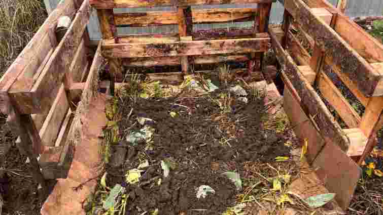 Не викидайте картон: 5 способів використати його на дачі 