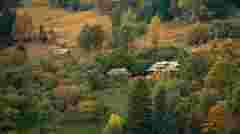 Франкфуртське зоотовариство надасть 21 грант карпатським громадам