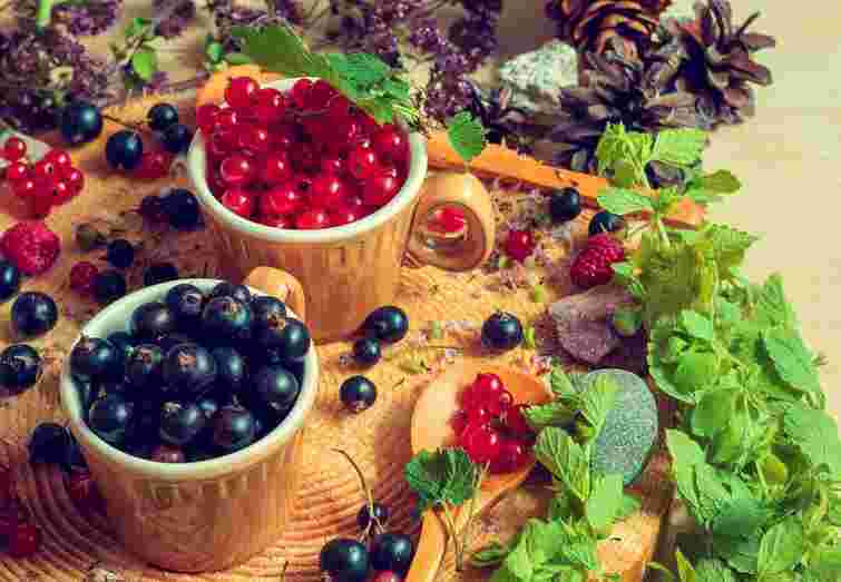 Понад 90% української органічної продукції експортують до Європи