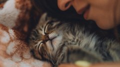 Вибирайте безпечні місця: куди можна поцілувати кота