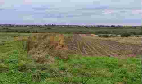 28-річна донька інструктора ТЦК з Волині оброблятиме 2,8 га ріллі біля Львова