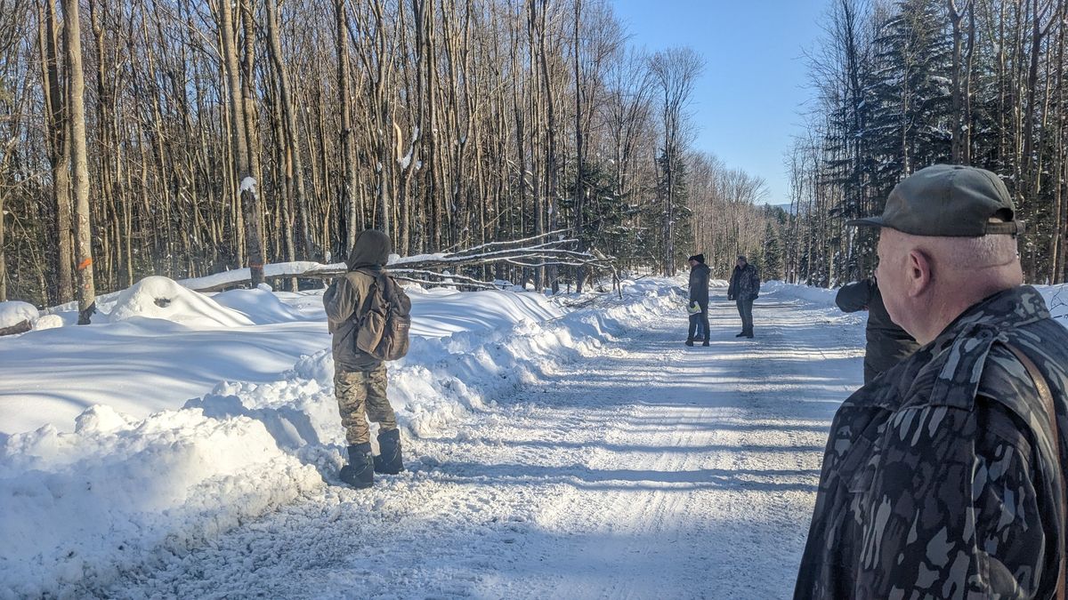 Під полониною Руна прорубають 18-кілометрову трасу для лінії електропередачі
