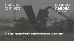Після свят львів'яни здали на компостувальну станцію 10 тонн ялинок