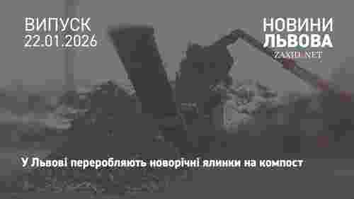Після свят львів'яни здали на компостувальну станцію 10 тонн ялинок