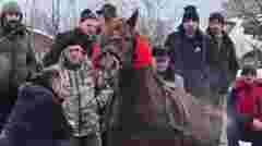 Поліція відкрила кримінальну справу через побиття тварин на фестивалі «Коні Бойківщини»