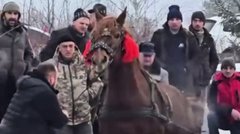 Поліція відкрила кримінальну справу через побиття тварин на фестивалі «Коні Бойківщини»