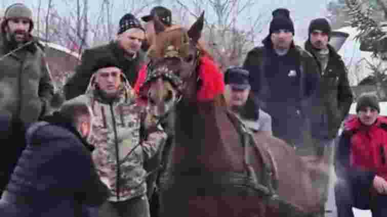 Поліція відкрила кримінальну справу через побиття тварин на фестивалі «Коні Бойківщини»