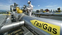 Рада Європи остаточно заборонила імпорт російського газу