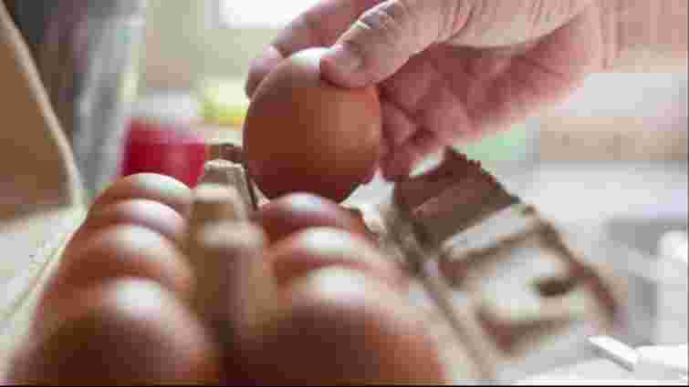 Україна потроїла доходи від експорту яєць у 2025 році