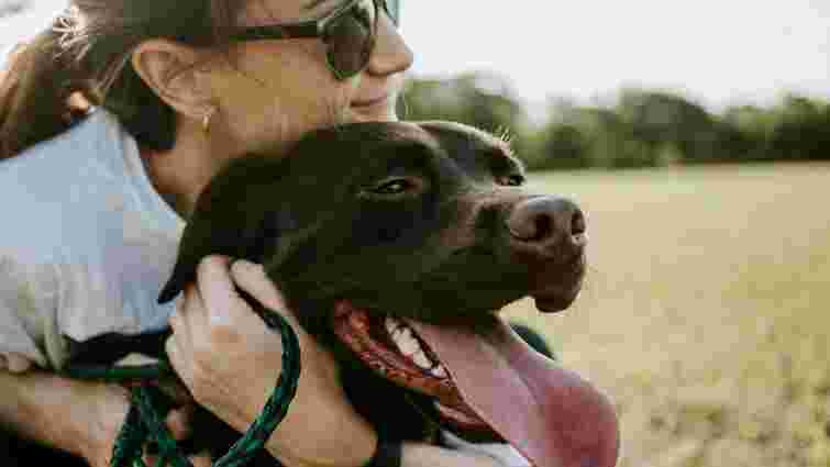 Важливий фізичний контакт і ніжність: чи справді у собак є улюблений господар