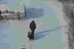 Росіяни вбили дронами подружжя, яке намагалося евакуюватися з Сумщини