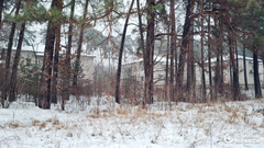 Депутати зі скандалом передали 8,6 га землі під Луцьком фірмі родини Ігоря Палиці