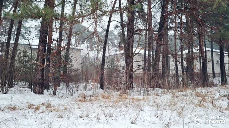 Депутати зі скандалом передали 8,6 га землі під Луцьком фірмі родини Ігоря Палиці