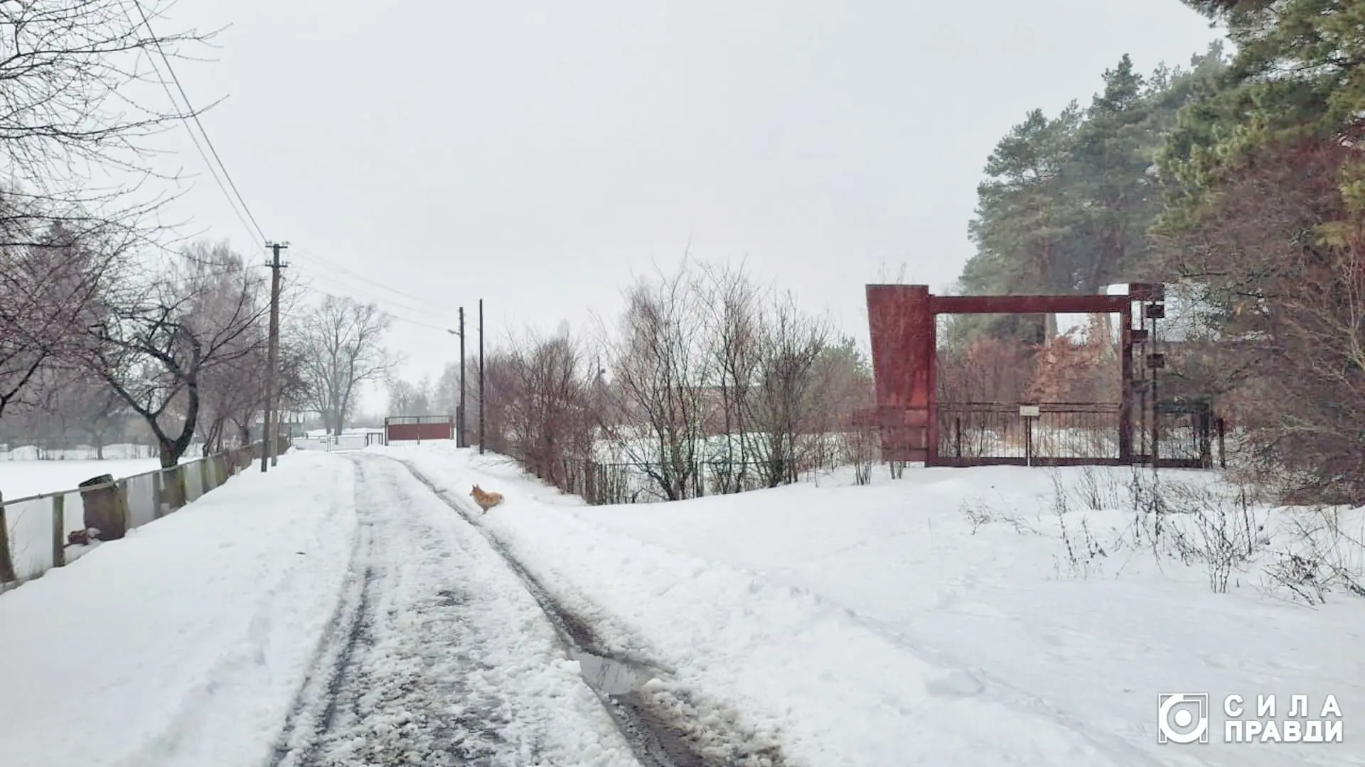  Фото «Сили правди»