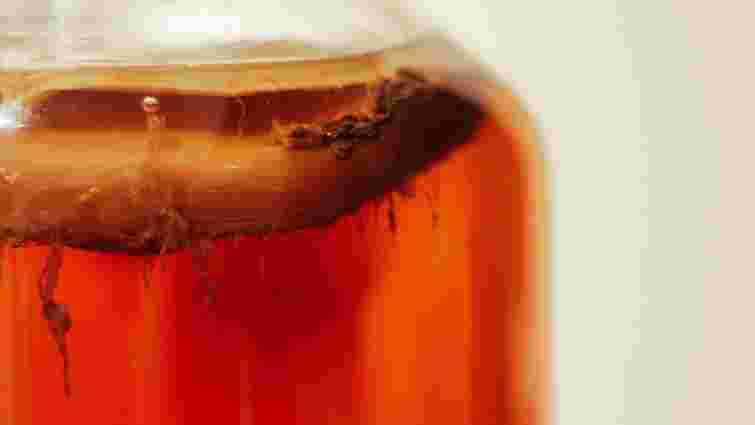 Вам потрібно лише трохи терпіння: як самостійно виростити чайний гриб