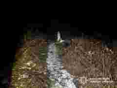 Мисливець застрелив мешканця села під час полювання на Закарпатті