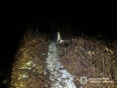 Мисливець застрелив мешканця села під час полювання на Закарпатті