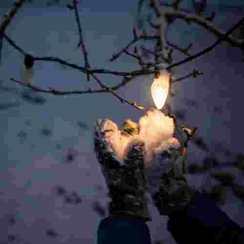 Природа підкаже, якою буде весна: основні прикмети на Стрітення