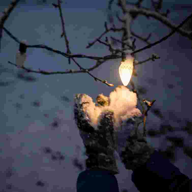 Природа підкаже, якою буде весна: основні прикмети на Стрітення