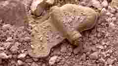 У Херсоні на російській міні підірвалася сімʼя з двома дітьми