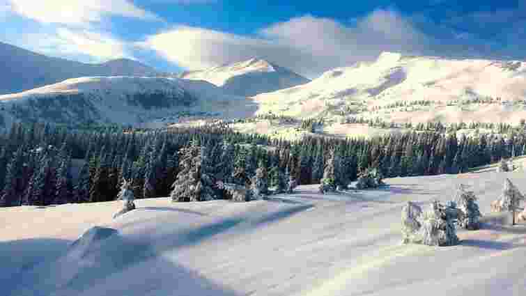 Ексначальниця Держгеокадастру на Закарпатті передала у приватні руки 1,5 га лісу на Драгобраті