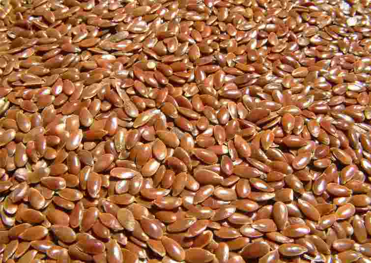 Сортове насіння чи гібриди: яка між ними різниця і що краще обрати для посіву