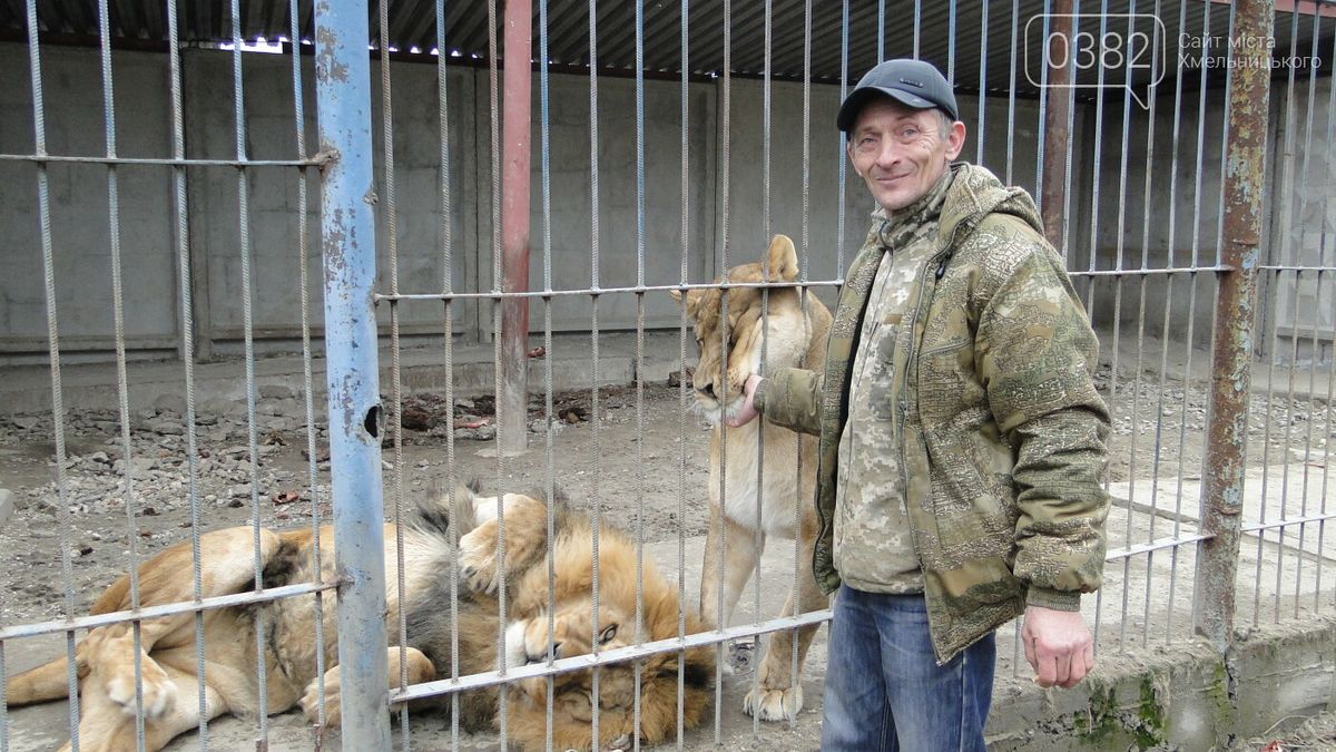 Власник нелегального притулку в Хмельницькому уник покарання за втечу левиць