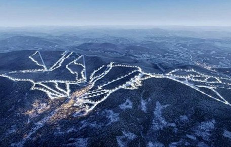 Львівська облрада підтримала передачу 176 га лісу для курорту Віталія Антонова