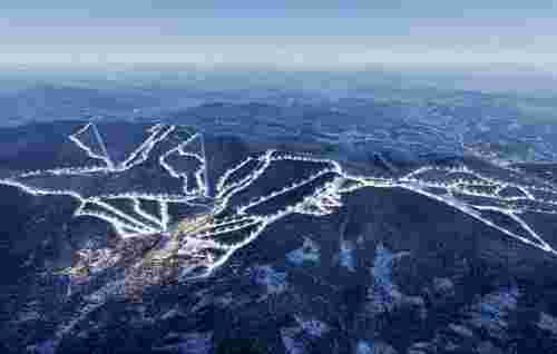 Львівська облрада підтримала передачу 176 га лісу для курорту Віталія Антонова