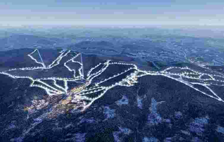 Львівська облрада підтримала передачу 176 га лісу для курорту Віталія Антонова