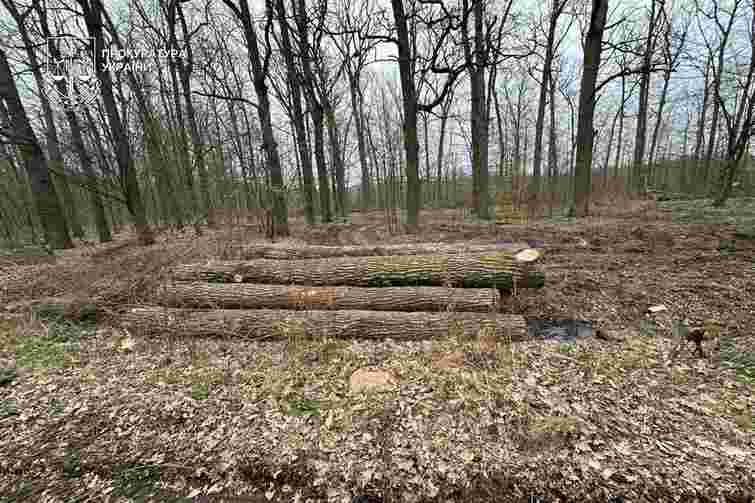 Скандальний екскерівник лісгоспу на Закарпатті отримав ще одну підозру